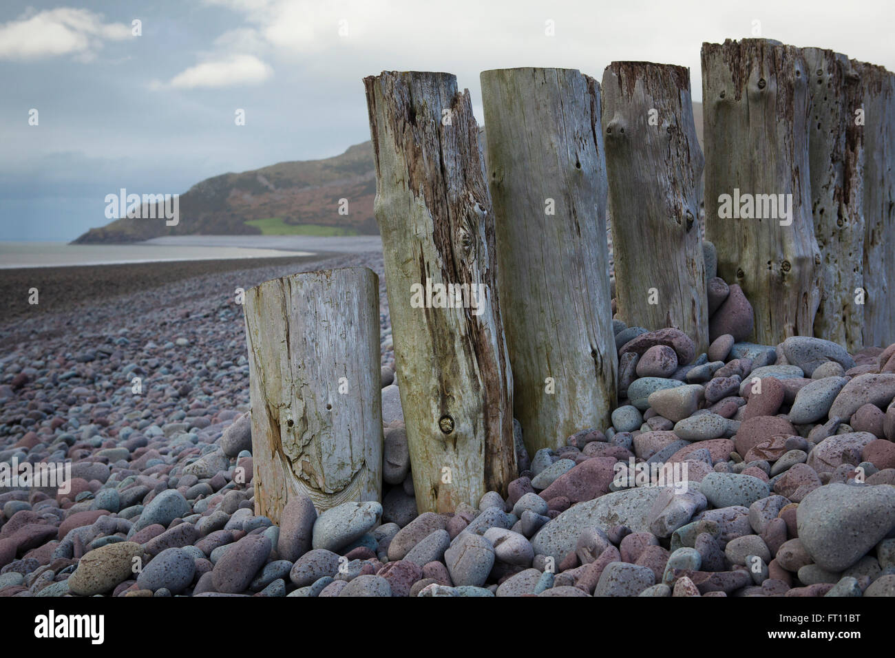 Bossington beach près de Porlock dans le Somerset UK montrant de grandes roches colorées et vieux bois épis patinées par la marée et la mer, la baie est sur le chemin côtier du sud-ouest a 630 km à pied autour de la côte britannique de Minehead au port de Poole, dans le Dorset. Banque D'Images