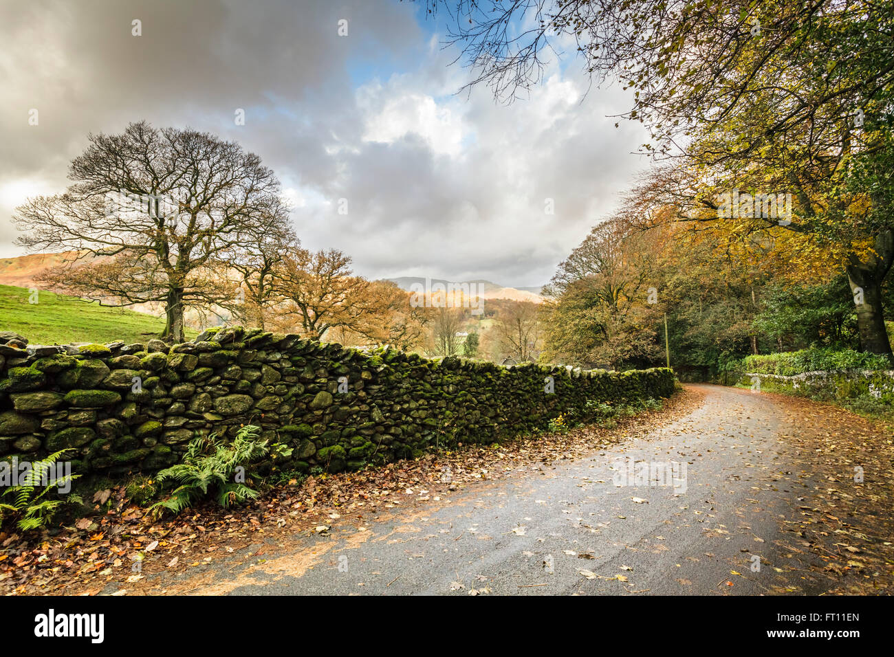 Un chemin de campagne en automne, de Grasmere dans le Lake District, Cumbria, Angleterre, Royaume-Uni Banque D'Images