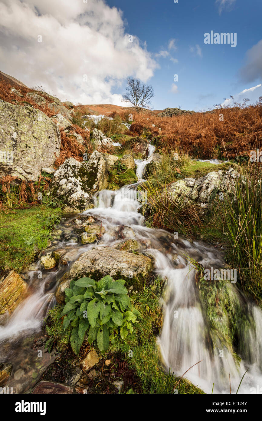 Cinderdale Beck Falls à Crummock Water dans le Lake District, Cumbria. Banque D'Images