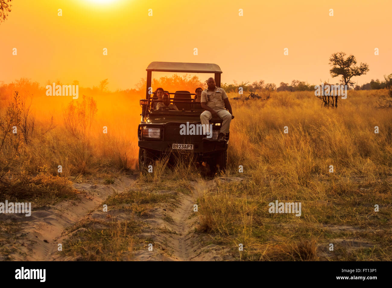 Jeep safari avec guide de la faune-spotter sur un jeu dur au coucher du soleil, Sandibe Camp, par le Moremi, Okavango Delta, Botswana, Afrique du Sud Banque D'Images