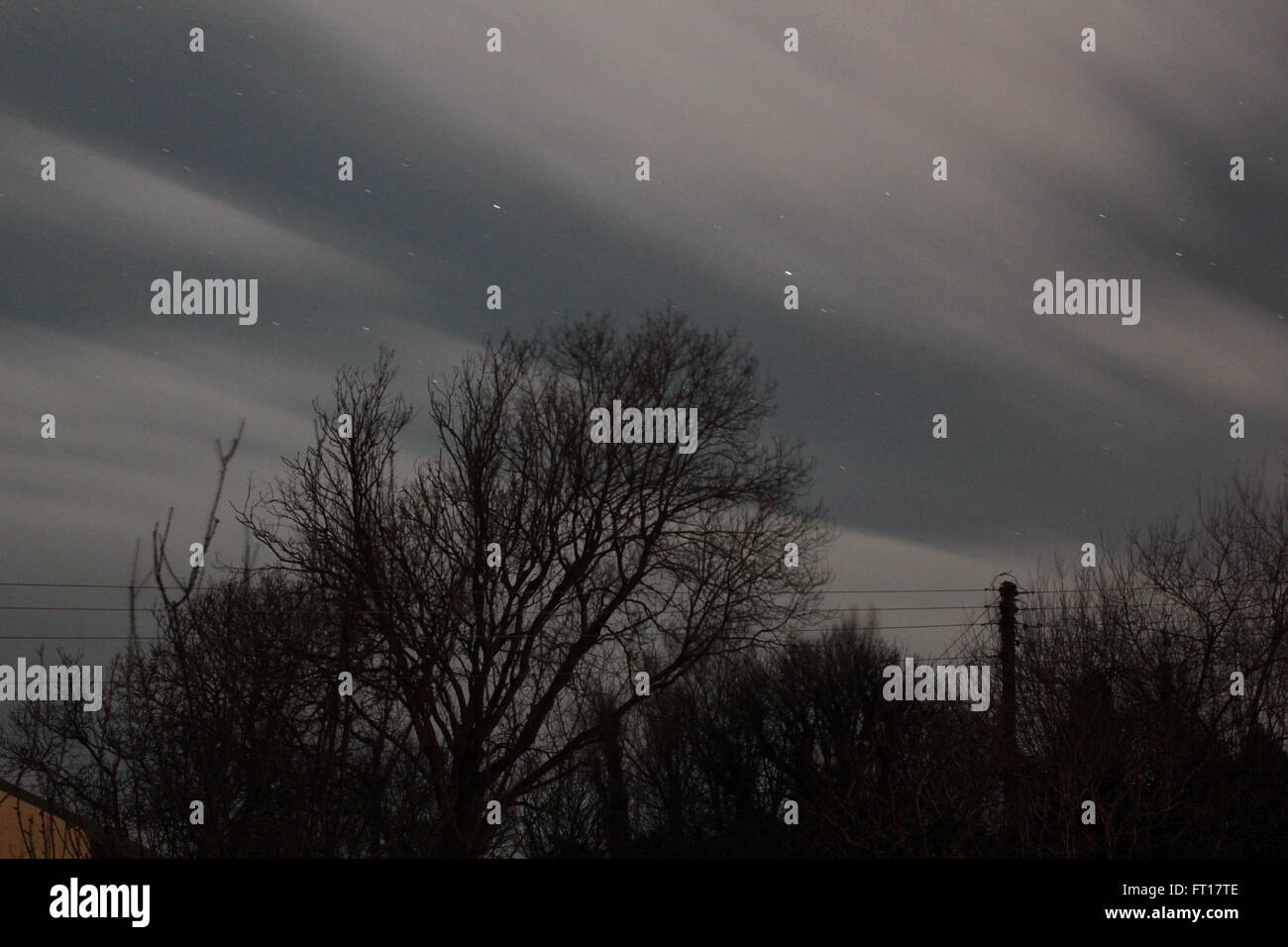 Nuit étoilée ciel nuages et arbres Banque D'Images