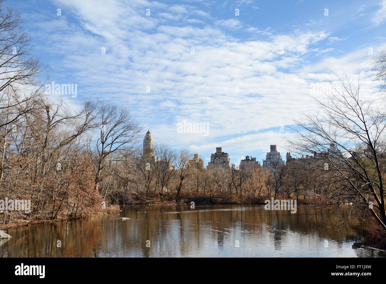 Vue sur Central Park reservoir entouré d'arbres Banque D'Images