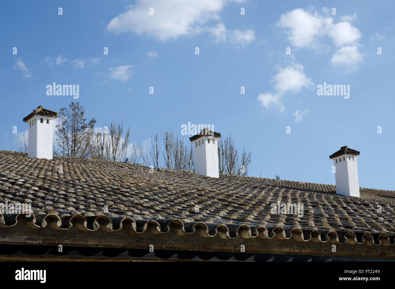 Un toit de style andalou typique et cheminées, dans le sud de l'Espagne Banque D'Images