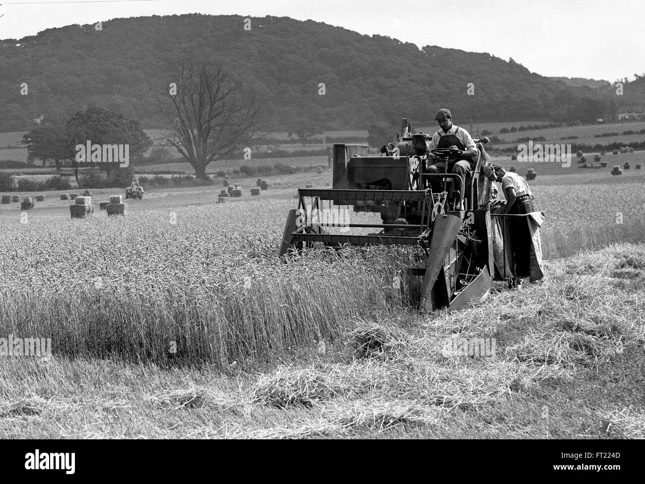 Ménage, lavage, femme de ménage séchant sa lessive dans le sèche-linge, années 1950, droits
