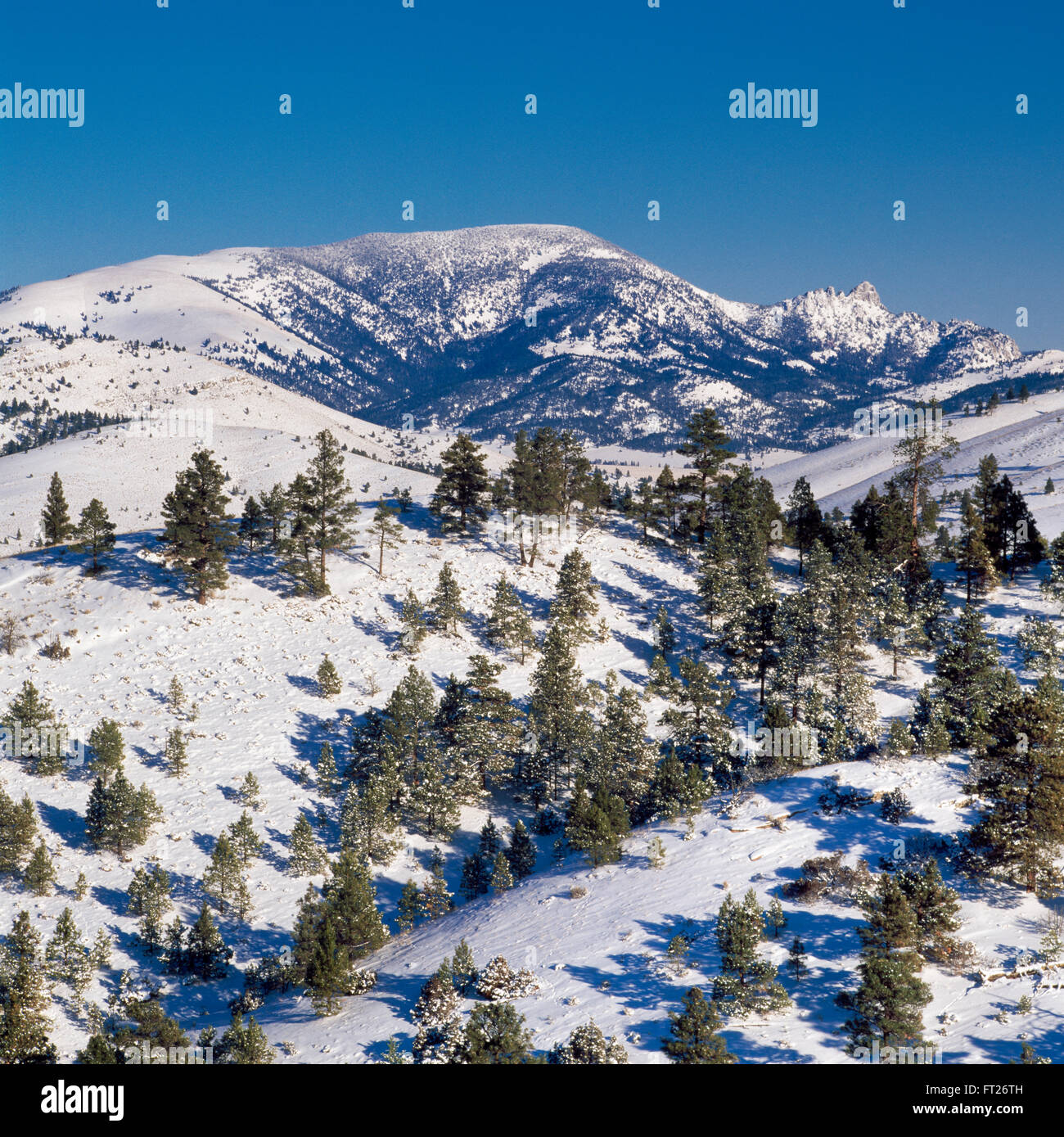 La montagne de géant dormant et de contreforts en hiver neige près de Helena, Montana Banque D'Images