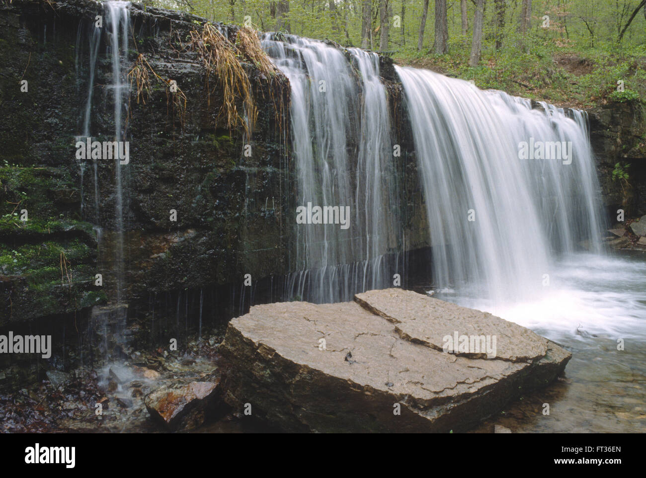 Une petite cascade est alimentée par les eaux de ruissellement du printemps à Nerstrand (Big Woods) State Park dans le sud-est du Minnesota, USA. Banque D'Images