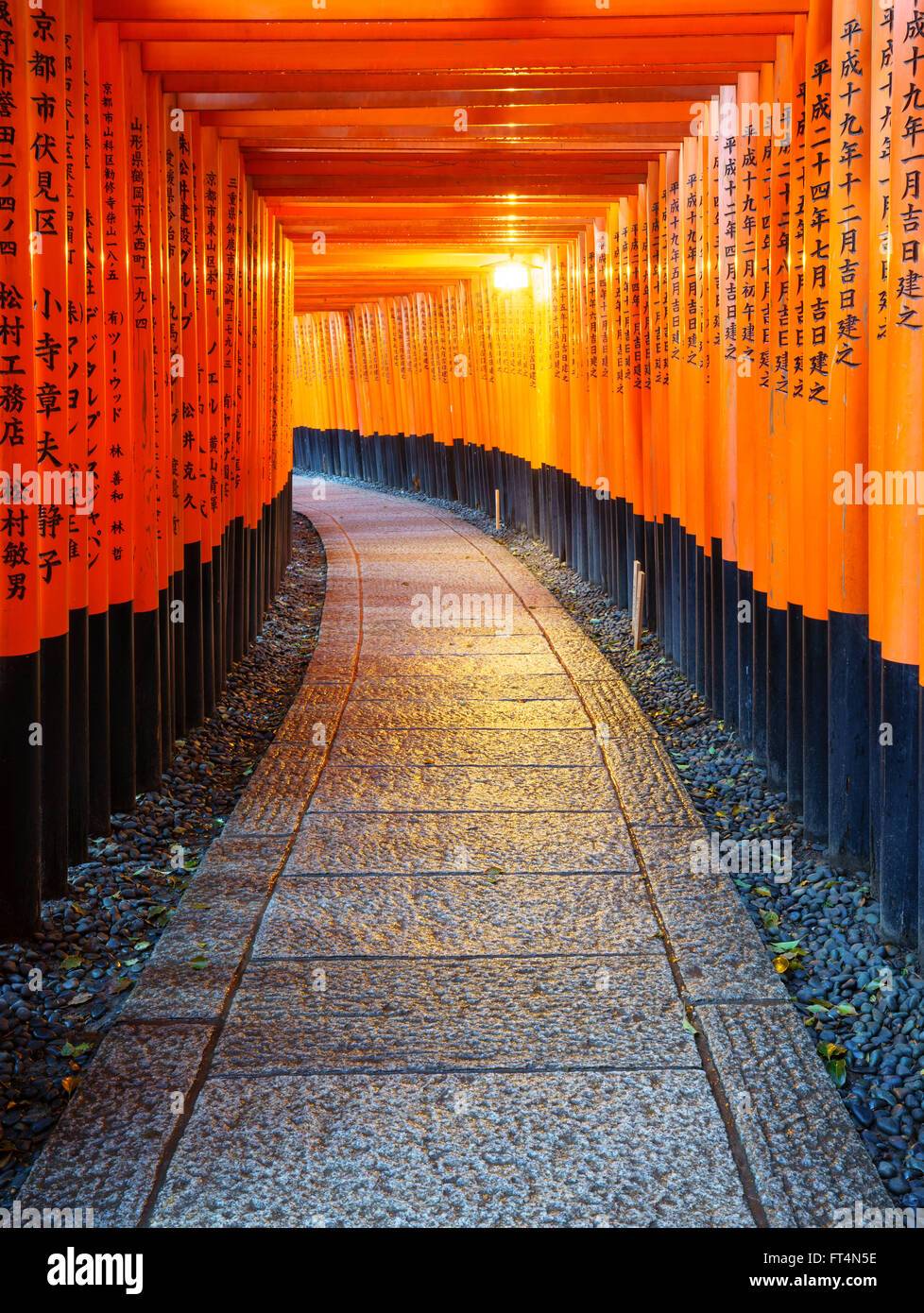 Torii gates dans Sanctuaire Fushimi Inari, Kyoto, Japon Banque D'Images