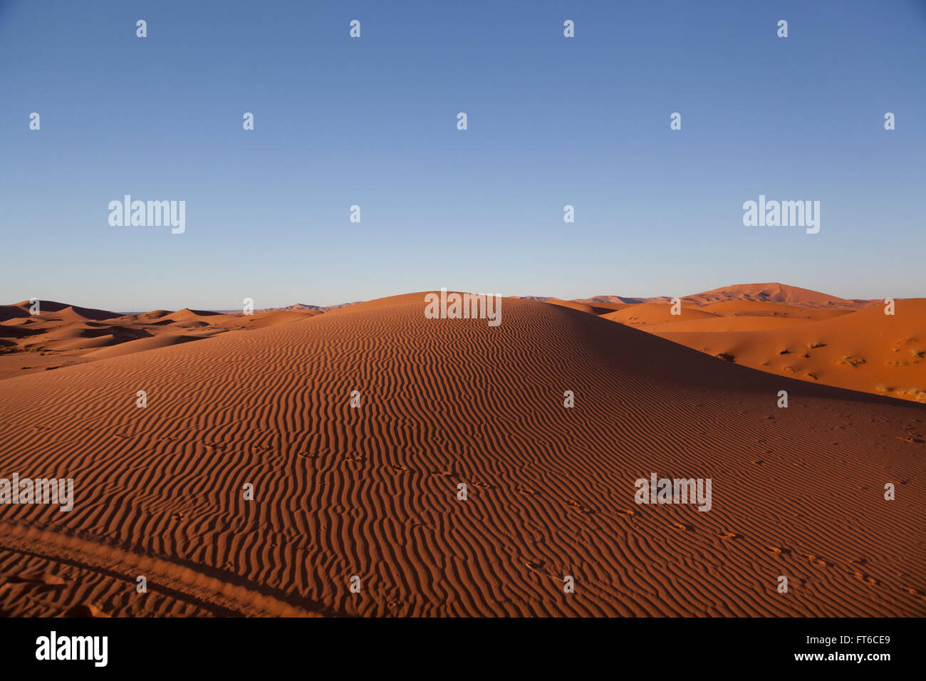 Dunes de Merzouga, Maroc Banque D'Images