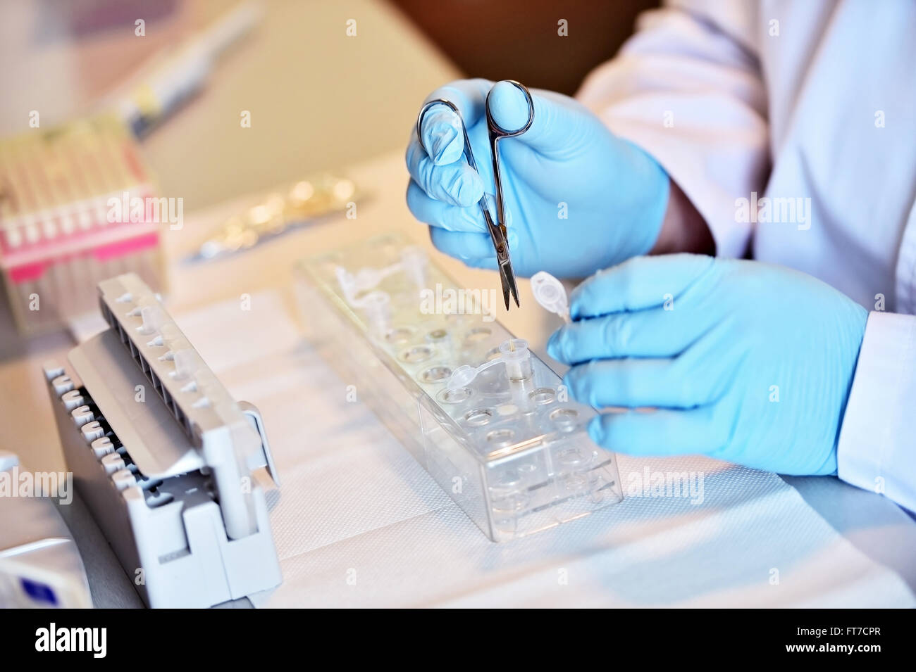 Détail avec mains chercheur travaillant avec compte-gouttes et des tubes médicaux dans un laboratoire d'effectuer un test ADN Banque D'Images