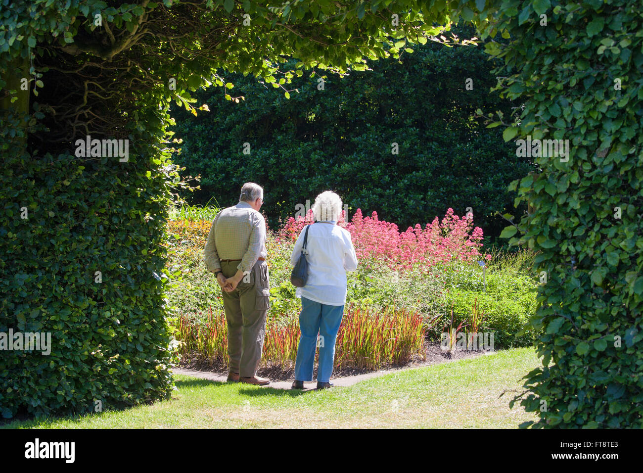 Édimbourg, Ville d'Édimbourg, Écosse. Vieux couple admiring fleurs colorées dans le Jardin botanique royal. Banque D'Images