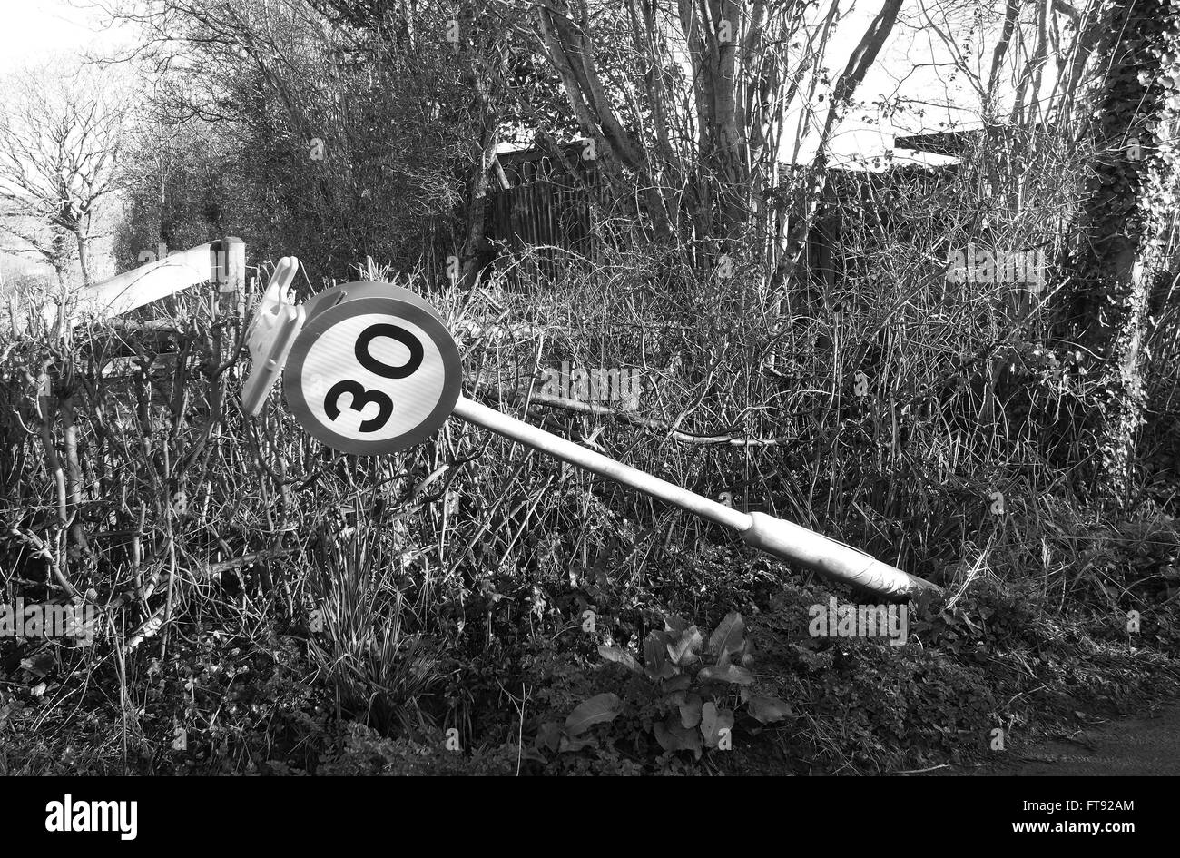 La limite de vitesse de 30 mi/h sign renversé par une voiture ou un camion dans un milieu rural Somerset lane. 25 Mars 2016 Banque D'Images