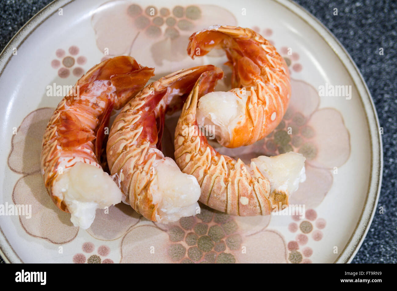 Quatre Queues de homard cuit. 4 queues de homard cuit disposées sur une assiette à dîner. Banque D'Images