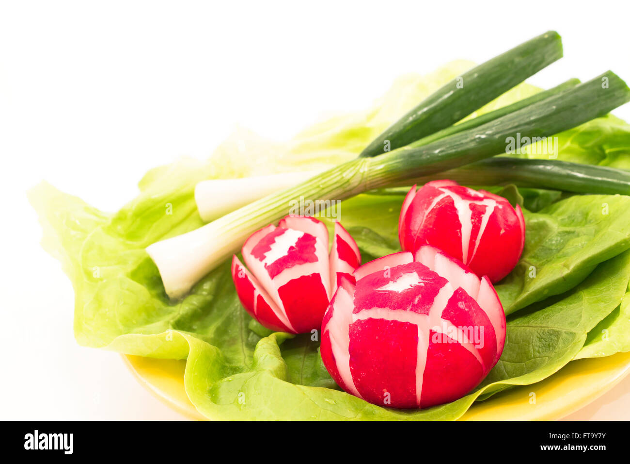 Salade de radis, la laitue et les oignons de printemps. Banque D'Images