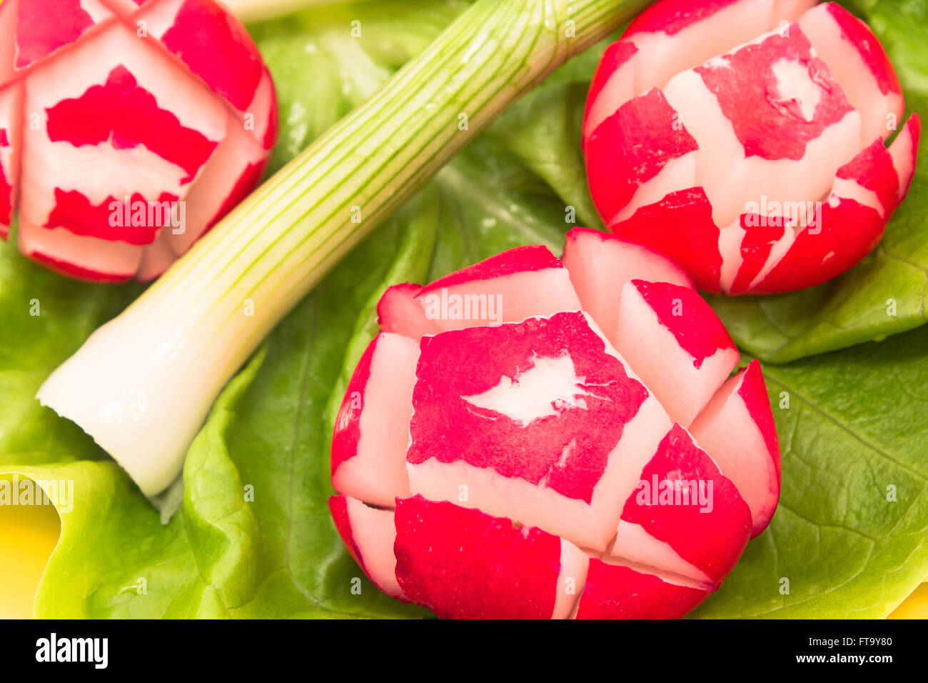 Salade de radis, la laitue et les oignons de printemps. Banque D'Images