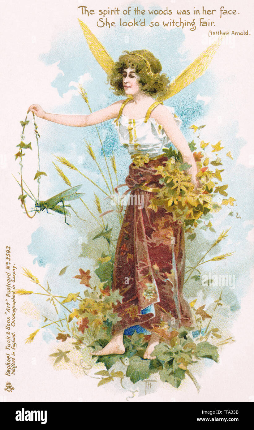 Edwardian Raphael Tuck Sons D Une Carte Postale Fee Des Bois Avec Une Citation De Matthew Arnold Photo Stock Alamy Edwardian Raphael Tuck Sons D Une Carte Postale Fee Des Bois Avec Une Citation De Matthew Arnold Photo Stock Alamy