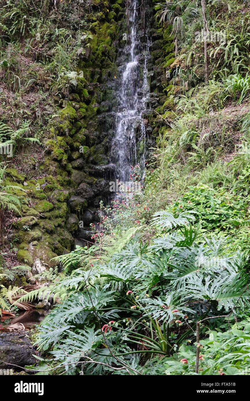 Rainbow Falls, Rainbow Springs State Park, Floride, Dunnellon Banque D'Images