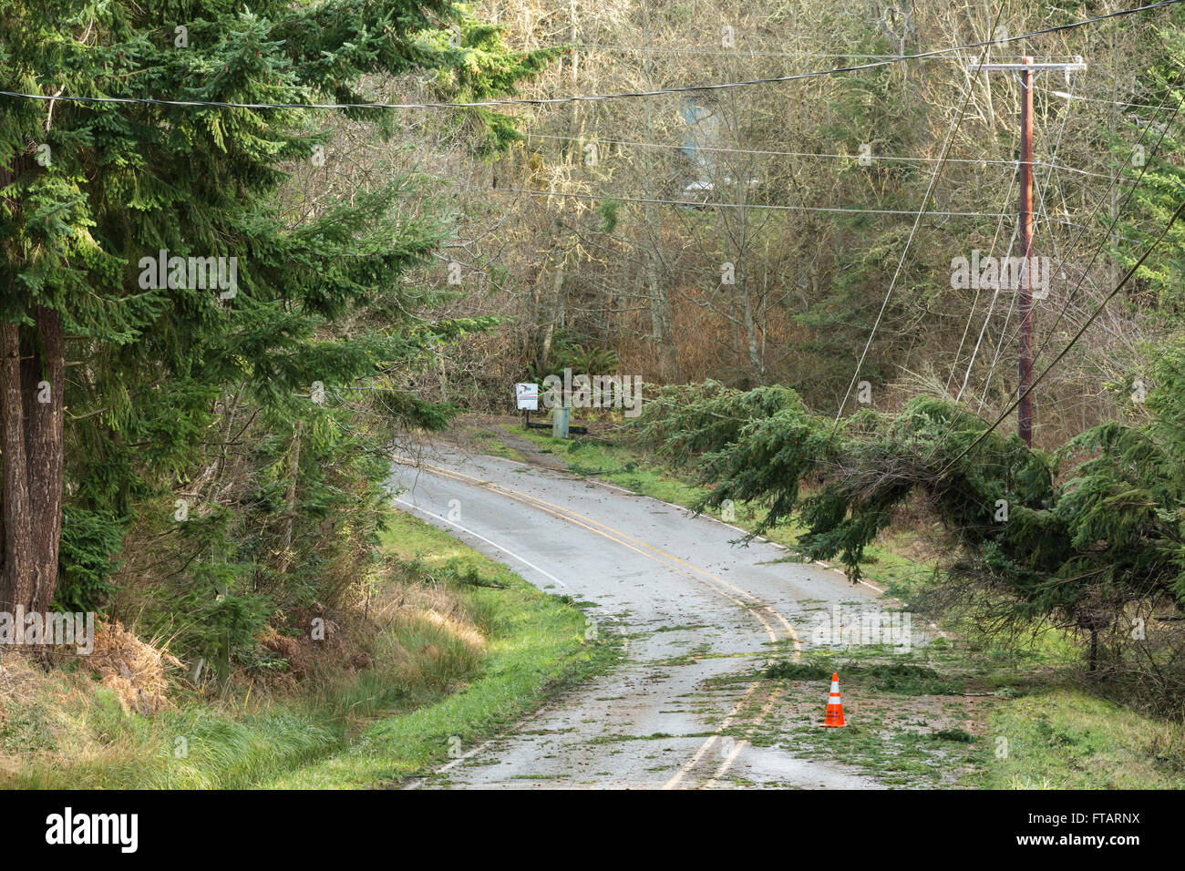 La chute d'arbres et de lignes électriques tombées bloquer une route ; risques après une catastrophe naturelle tempête Banque D'Images