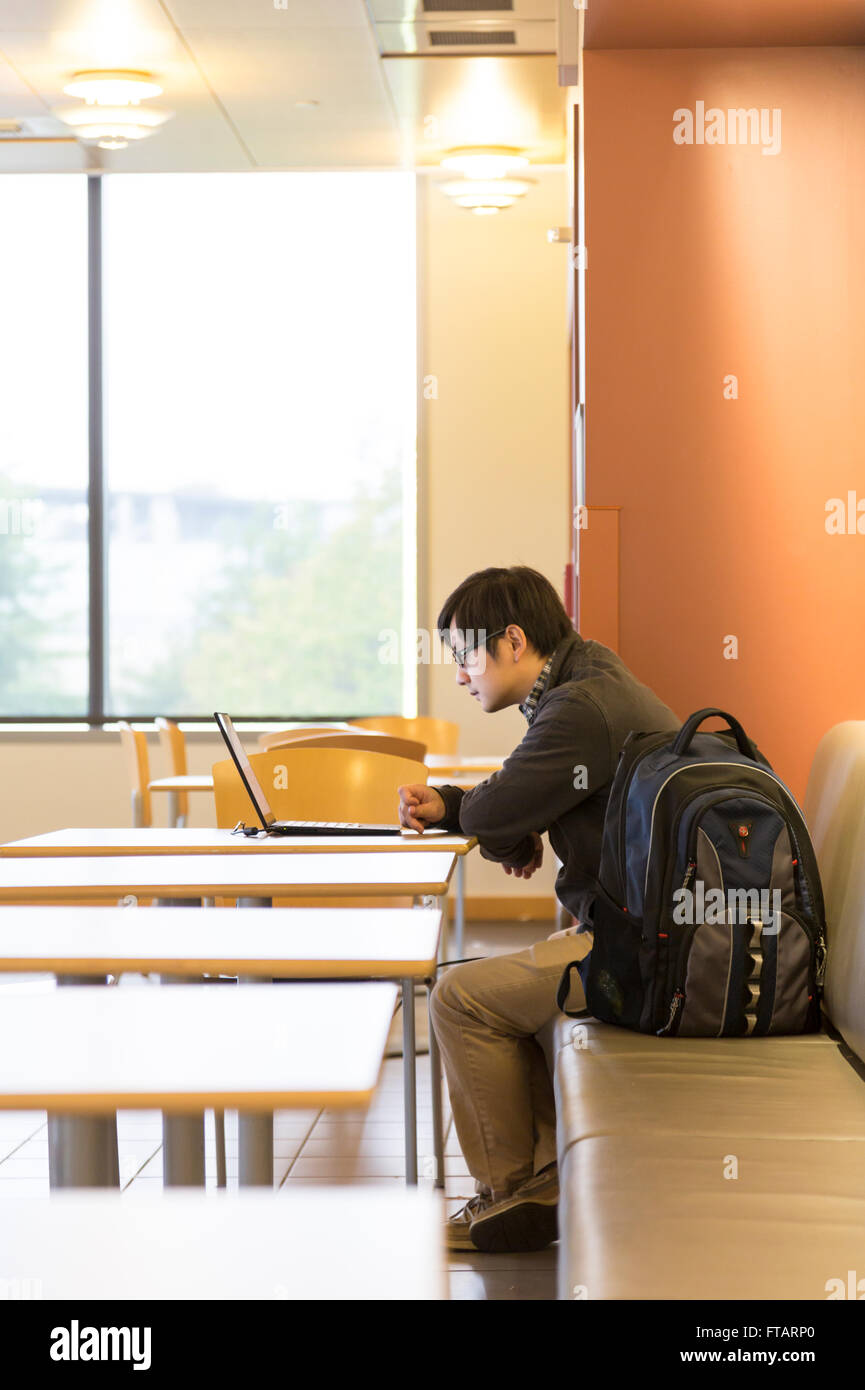 Un homme asiatique étudiant à l'Université américaine de Washington l'étude à l'aide d'un ordinateur portable, Washington, United States Banque D'Images
