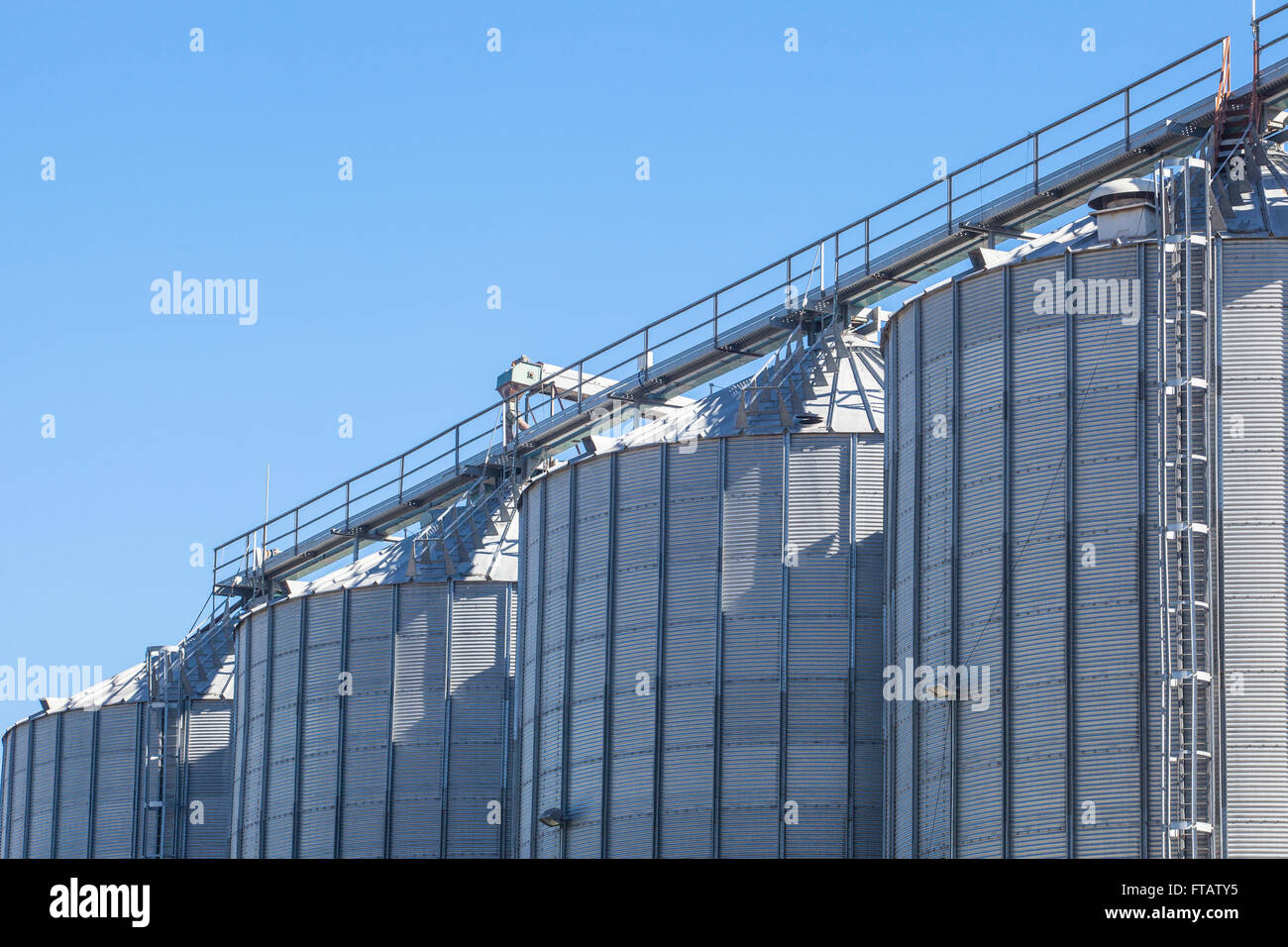 Les réservoirs de stockage de céréales produits sur ciel bleu Banque D'Images