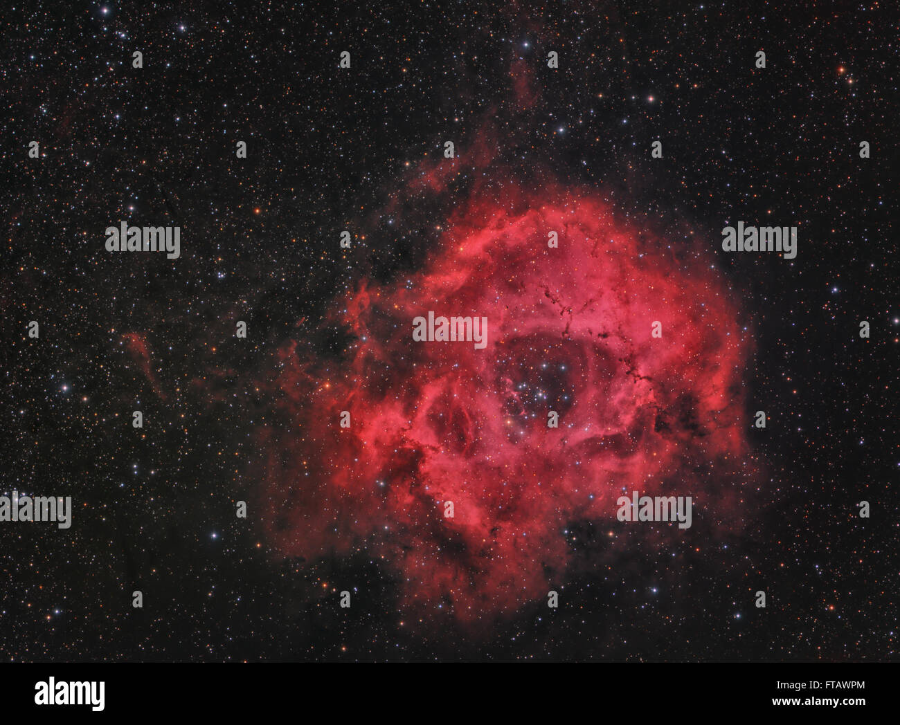 La nébuleuse de la Rosette - nebula et amas ouverts dans la constellation de Monoceros Banque D'Images