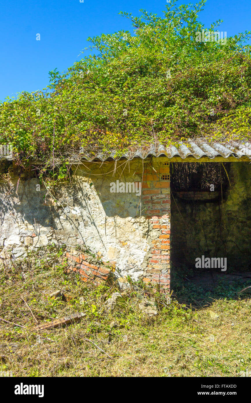 Vieille ferme abandonnée en ruine Banque D'Images