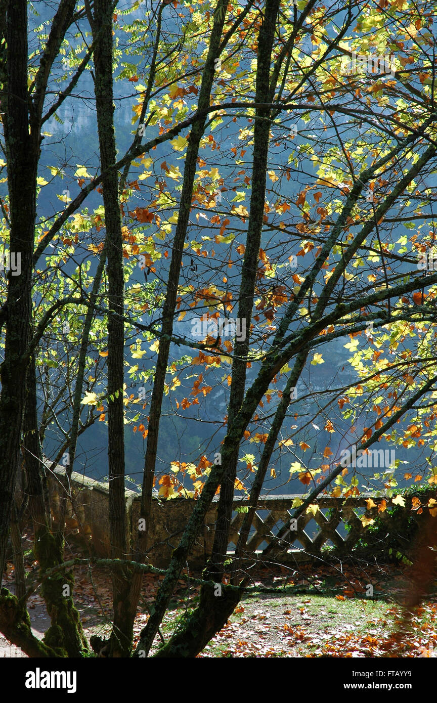 Les feuilles d'automne de la falaise, Rocamadour, donnant sur la vallée. Banque D'Images