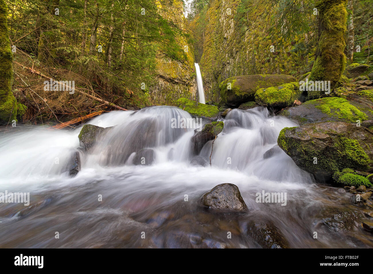 Ci-dessous Dry Creek Falls le long de Pacific Crest Trail Dans la région de Columbia River Gorge Oregon Banque D'Images