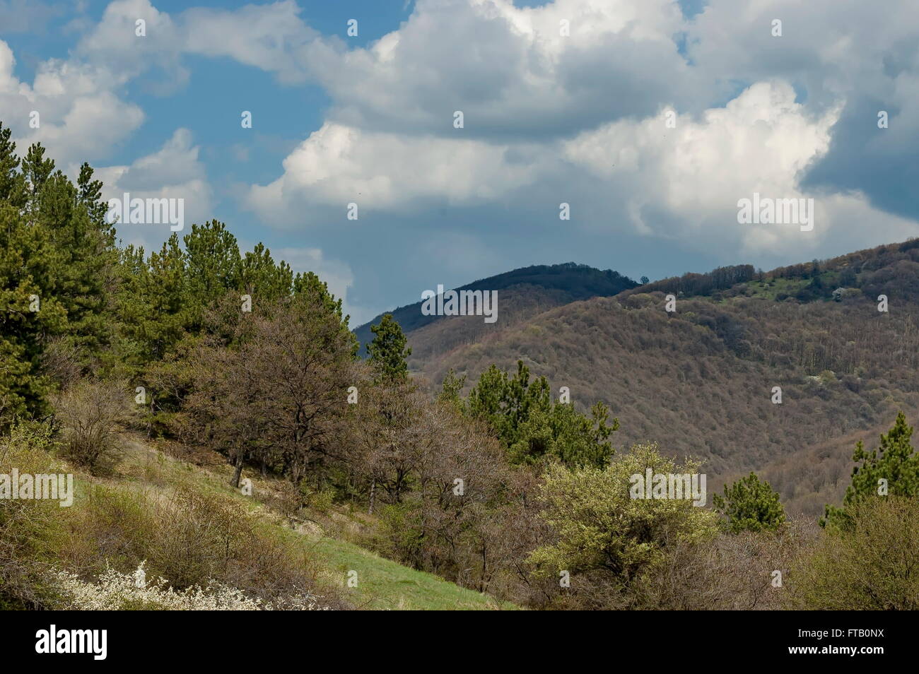 La montagne des Balkans au printemps en Bulgarie Banque D'Images