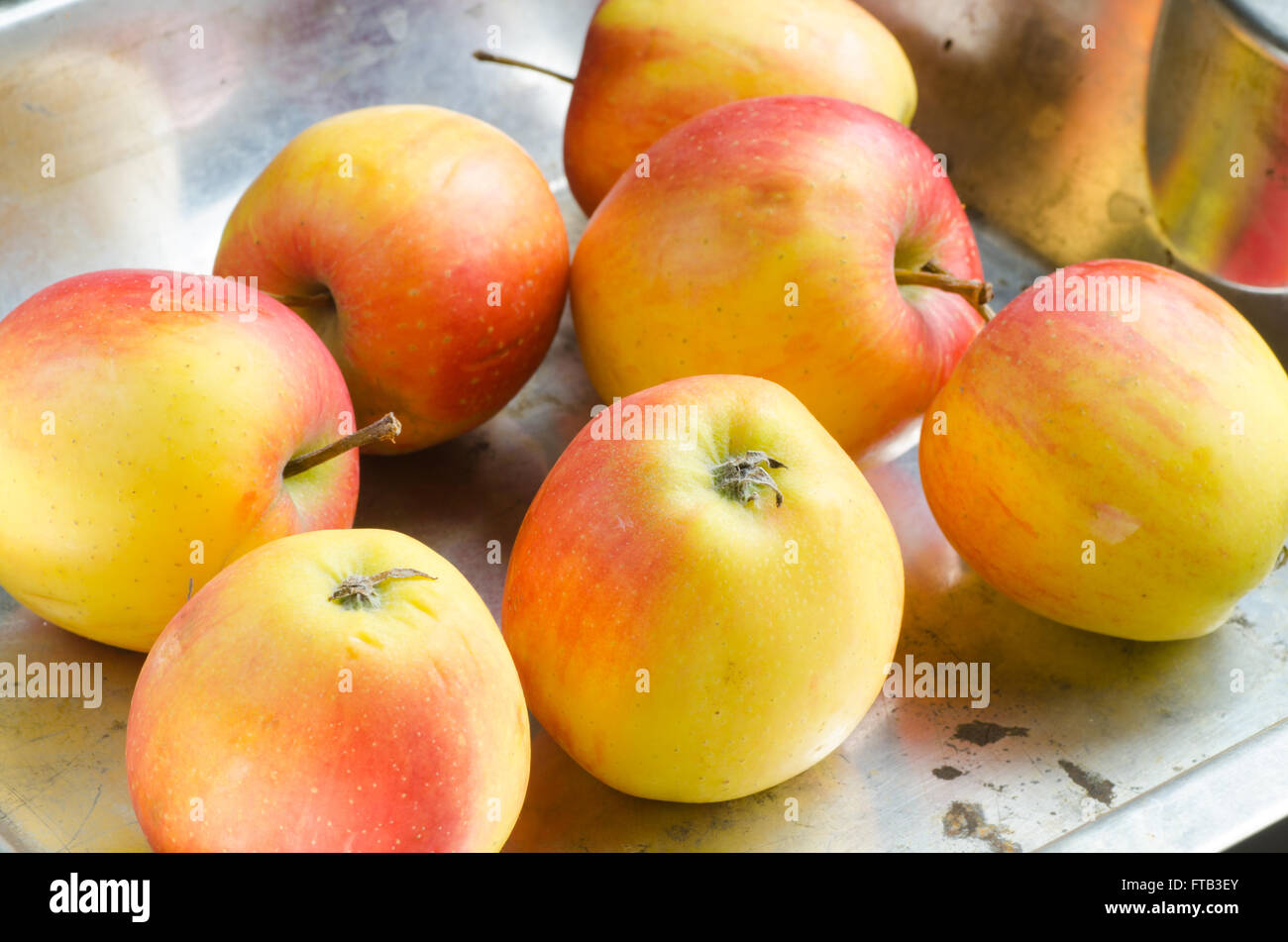 Les pommes fraîches sur la table Banque D'Images