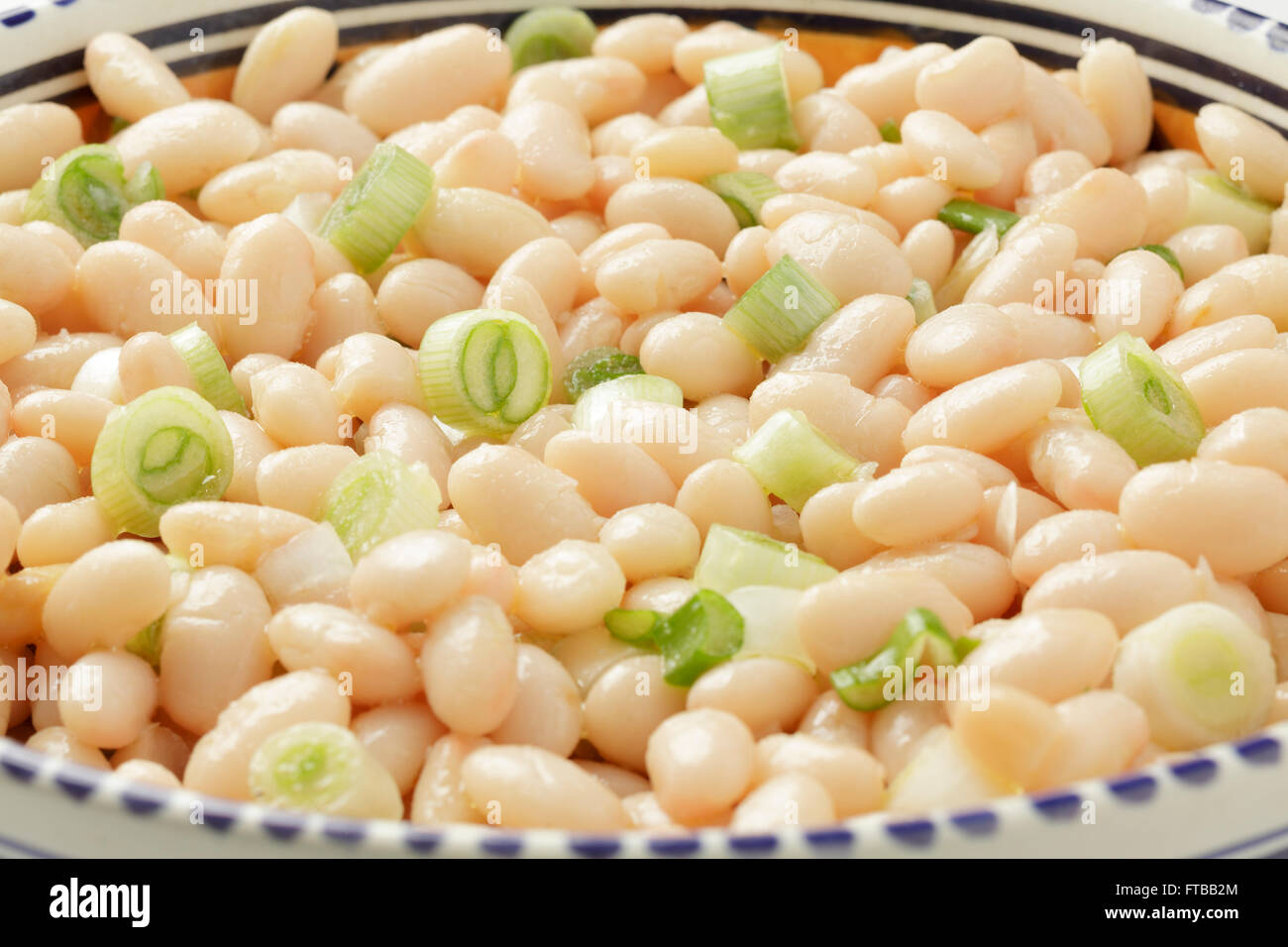 Salade de haricots blancs avec des oignons de printemps Banque D'Images