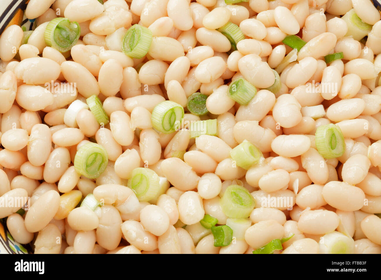 Salade de haricots blancs avec des oignons de printemps Banque D'Images