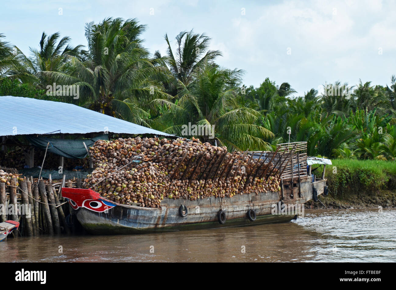 Un cargo offre de coco à une opération de traitement dans le Delta du Mékong près de Ben Tre, Vietnam Banque D'Images
