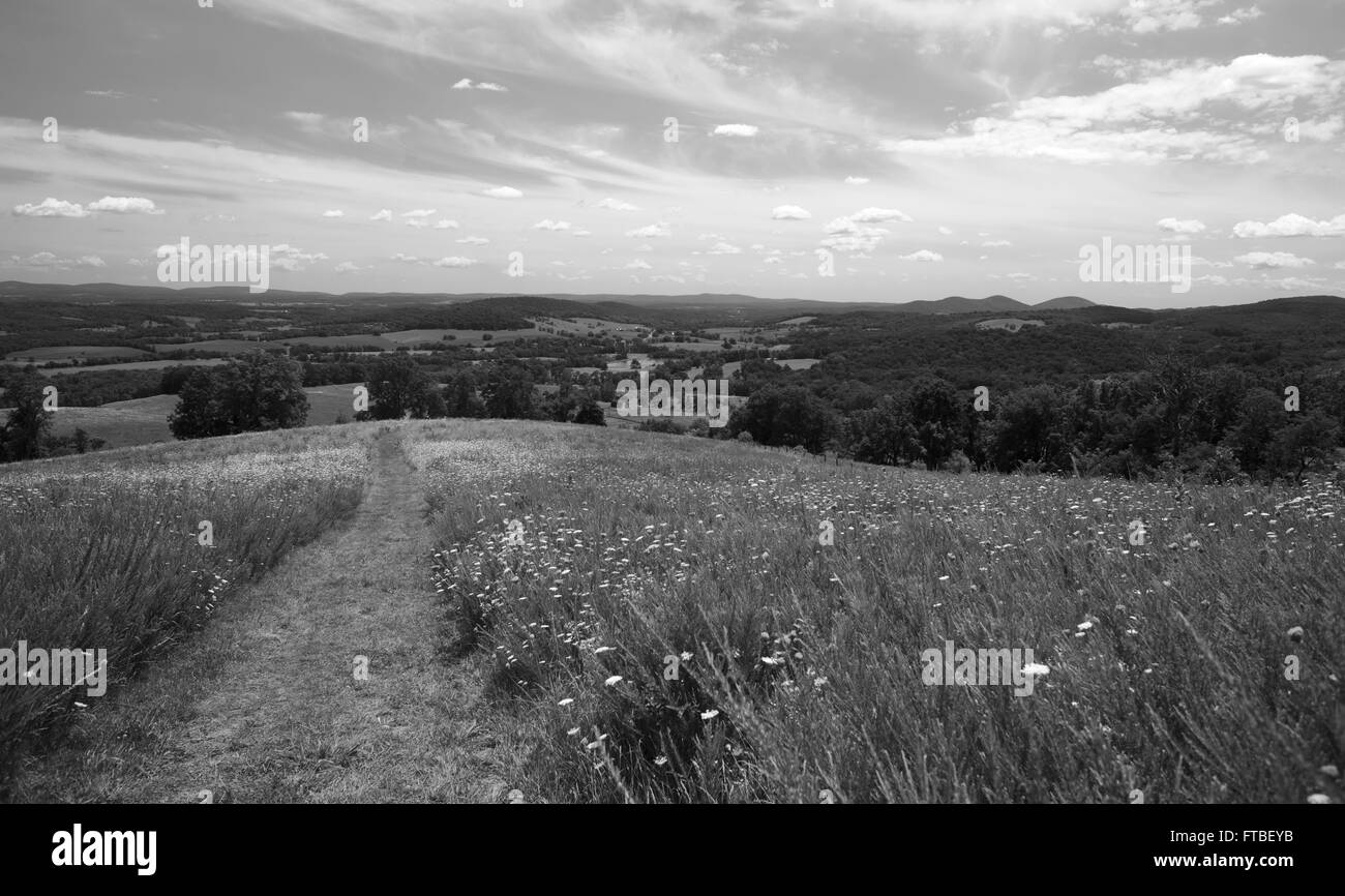 L'une des vues panoramiques que j'ai vu lors d'une randonnée dans la région de Virginia à l'été Banque D'Images