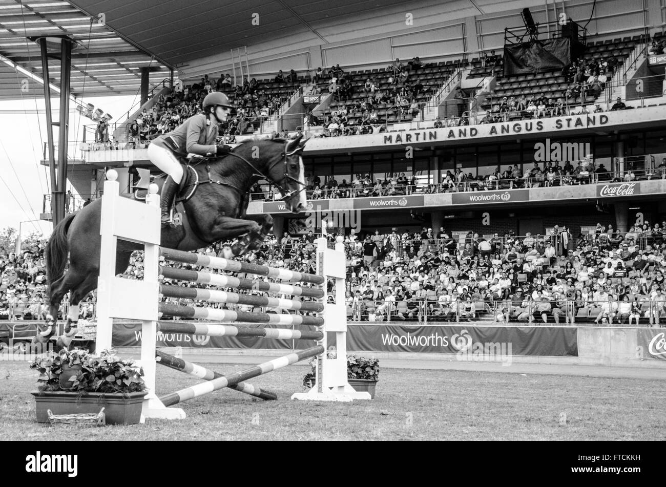 Sydney, Australie. 27 mars, 2016. Le Sydney Royal Easter Show arrive en ville à la banlieue, le Parc olympique de Sydney. Le salon annuel organisé par la Royal Agricultural Society of New South Wales (RAS) se déroulera du 17 au 30 mars 2016. Sur la photo est le saut d'Junior Bar Six cas qui ont eu lieu pendant le salon. Credit : mjmediabox /Alamy Live News Banque D'Images