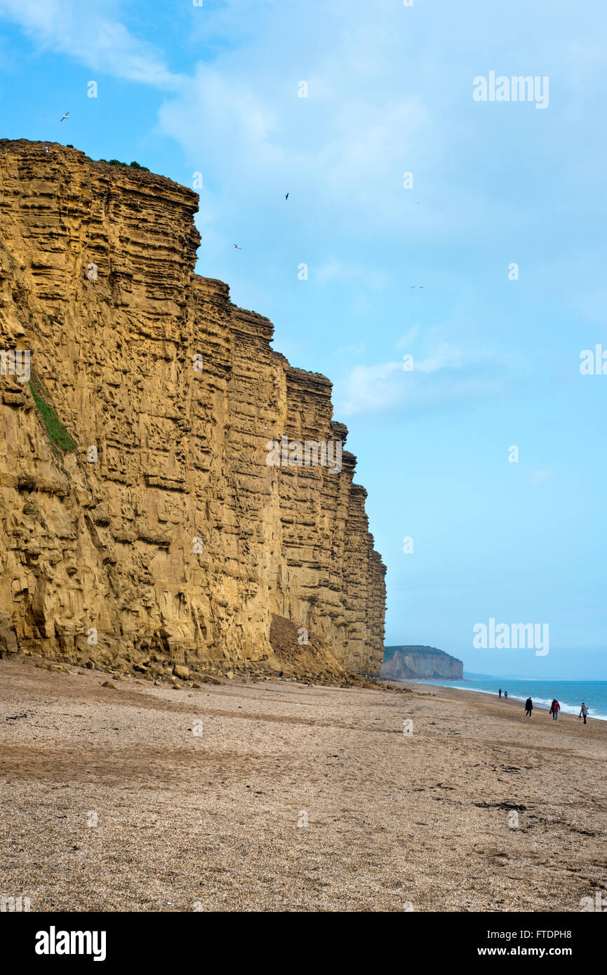 Falaise est de West Bay, près de Bridport, Dorset, Angleterre, l'un des endroits utilisés pour la série TV Broadchurch Banque D'Images