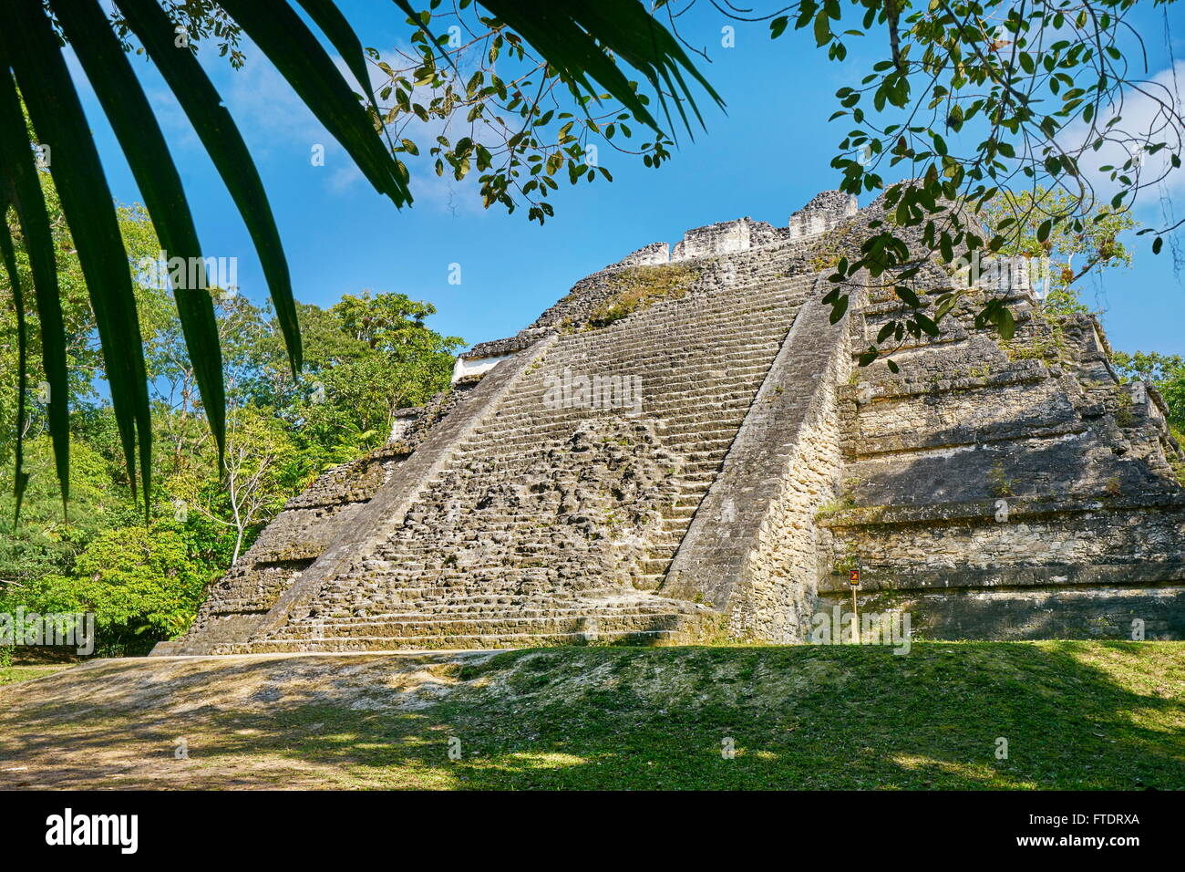 Les anciens Mayas, ruines, le parc national de Tikal, Guatemala, Yucatan Banque D'Images
