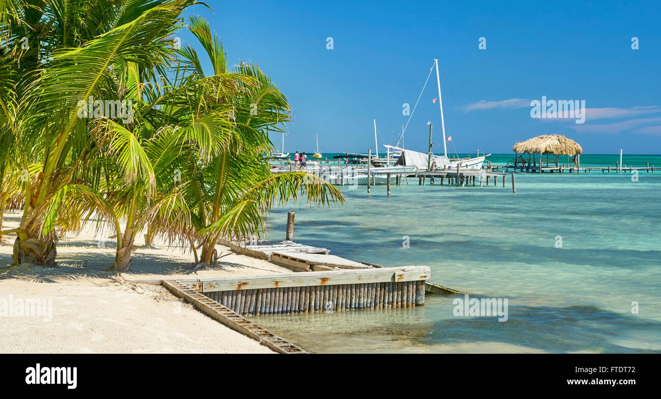 Caye Caulker Belize - l'île des Caraïbes, l'Amérique centrale Banque D'Images