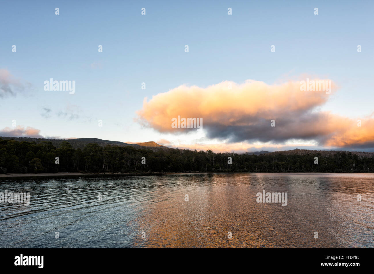 Lever du soleil au lac St Clair, socle Mountain-Lake St Clair National Park, Tasmanie, TAS, Australie Banque D'Images