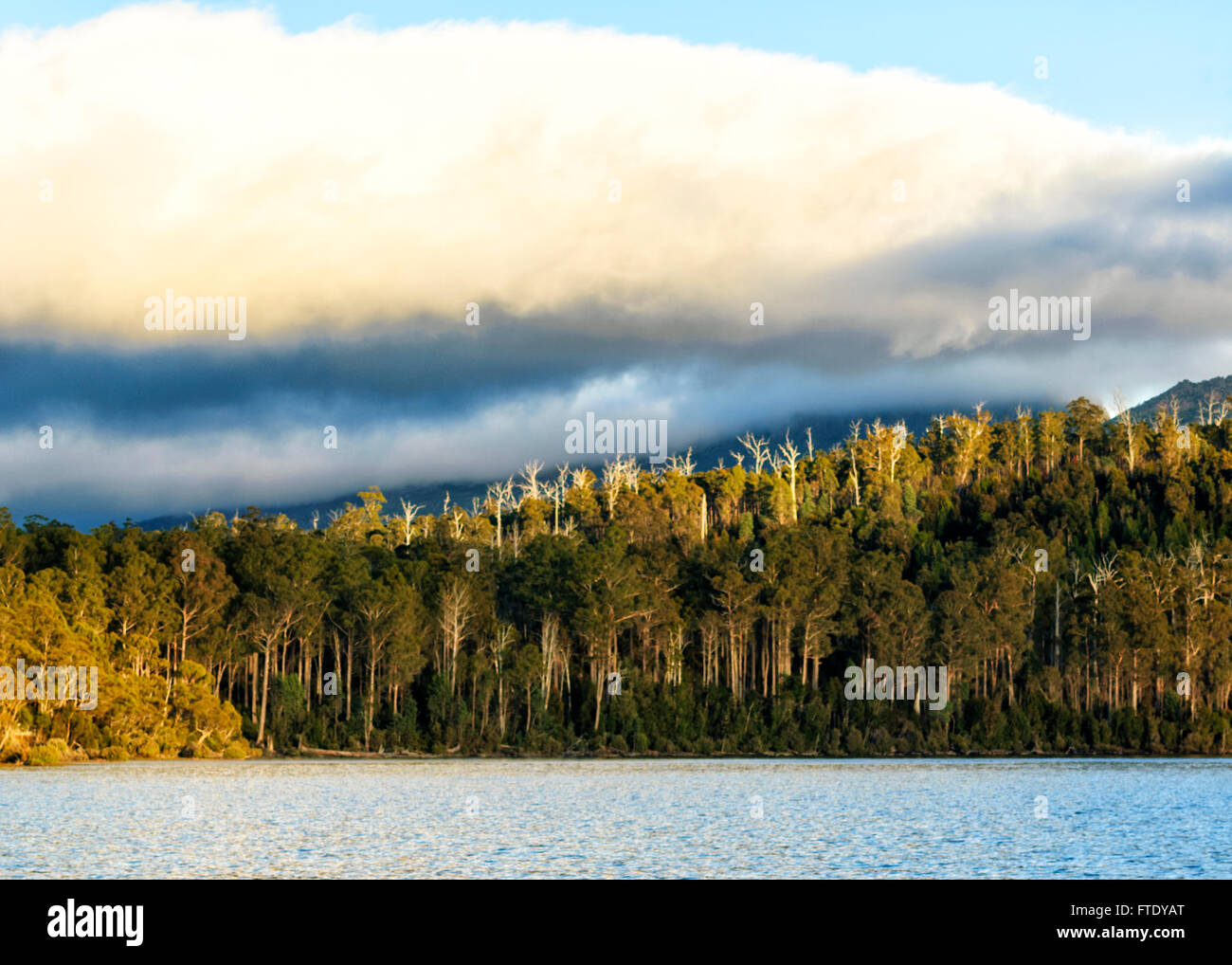 Tempête menaçant sur le Lac St Clair, socle Mountain-Lake St Clair National Park, Tasmanie, TAS, Australie Banque D'Images