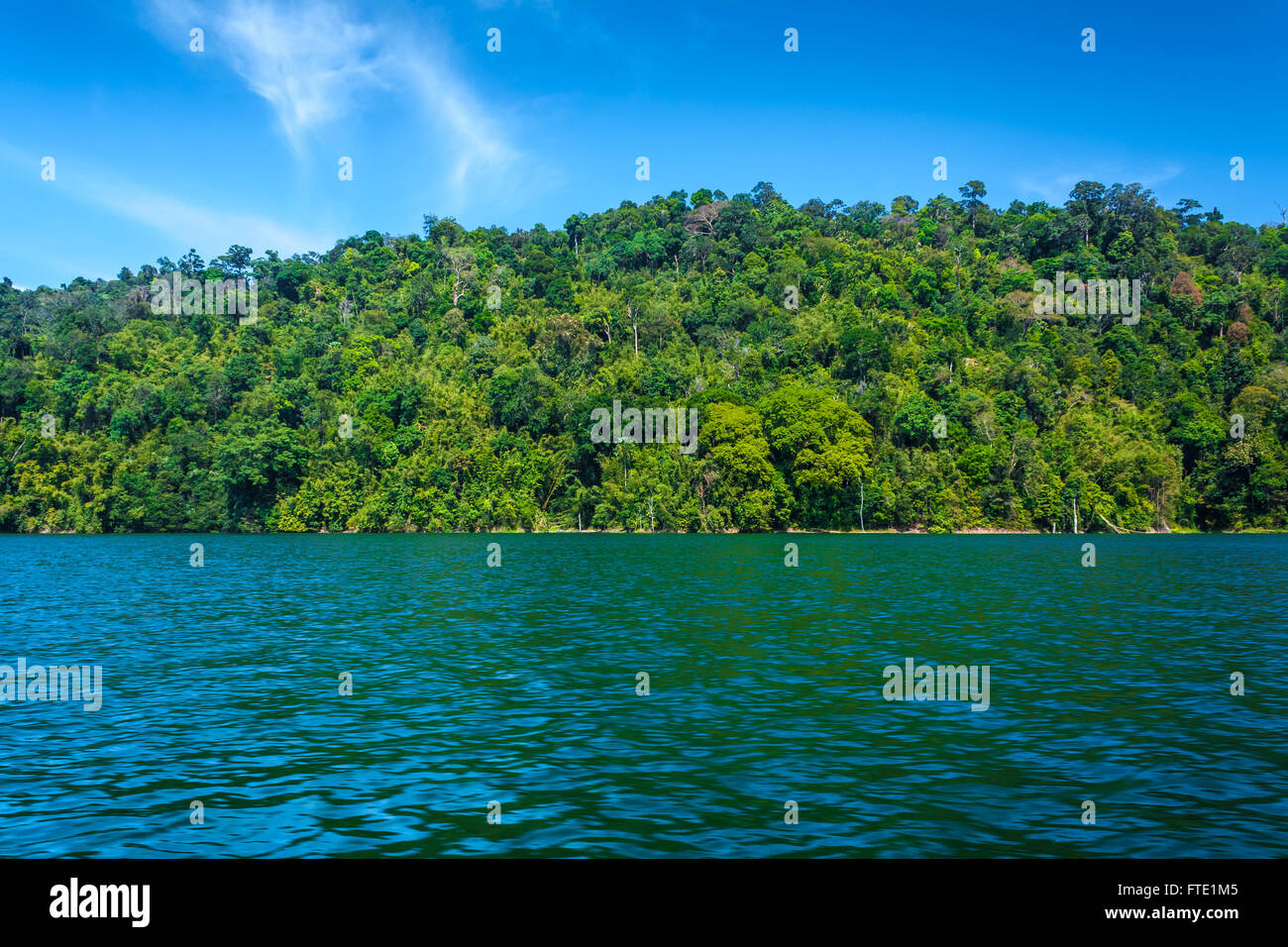 La ligne d'arbres de jungle tropicale dans l'île de ciel bleu clair. Bandes de champ, lac Temenggor. La Malaisie Banque D'Images