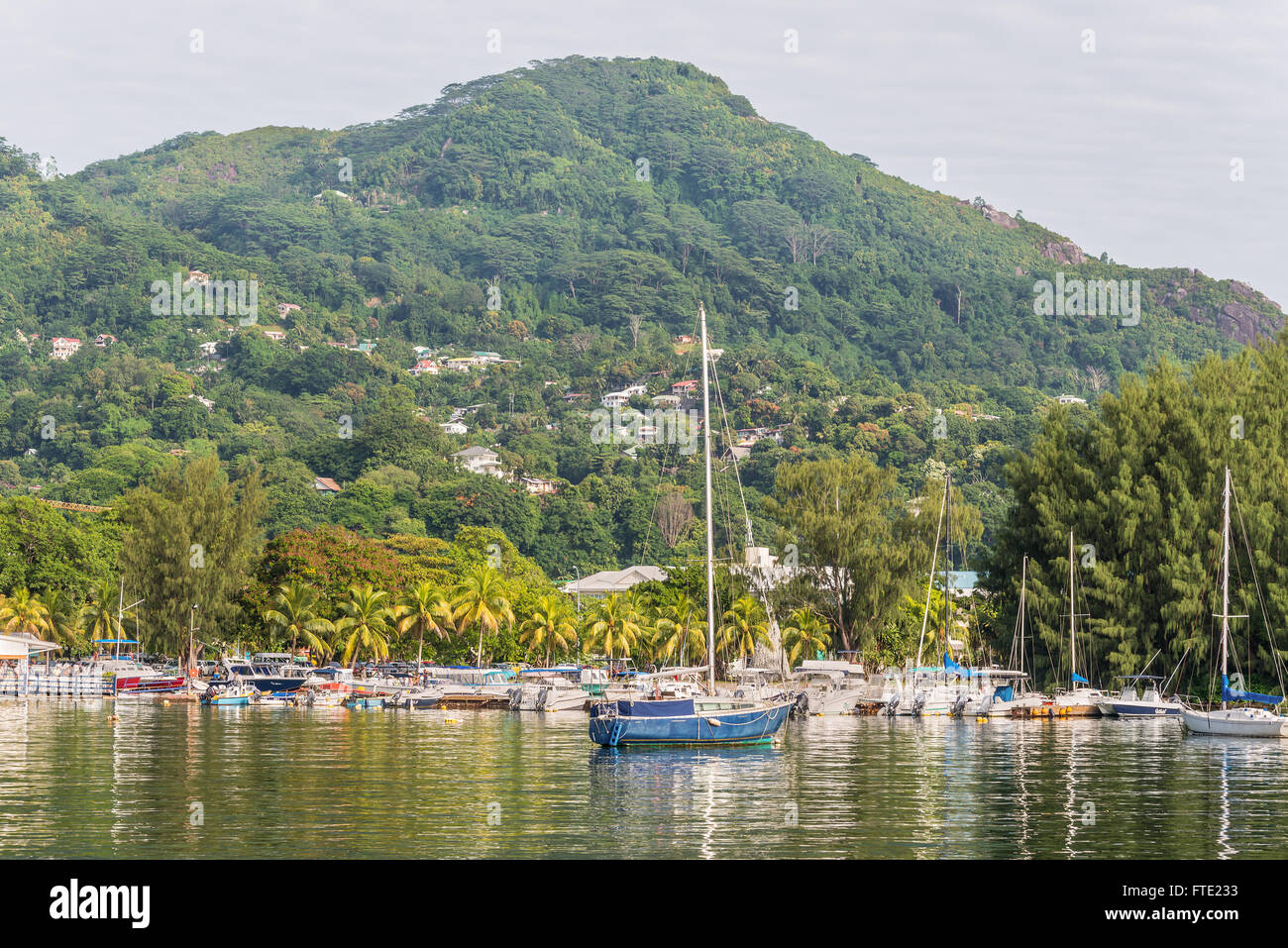Beaux yachts et bateaux dans le port de Port Victoria, Mahe, Seychelles Banque D'Images