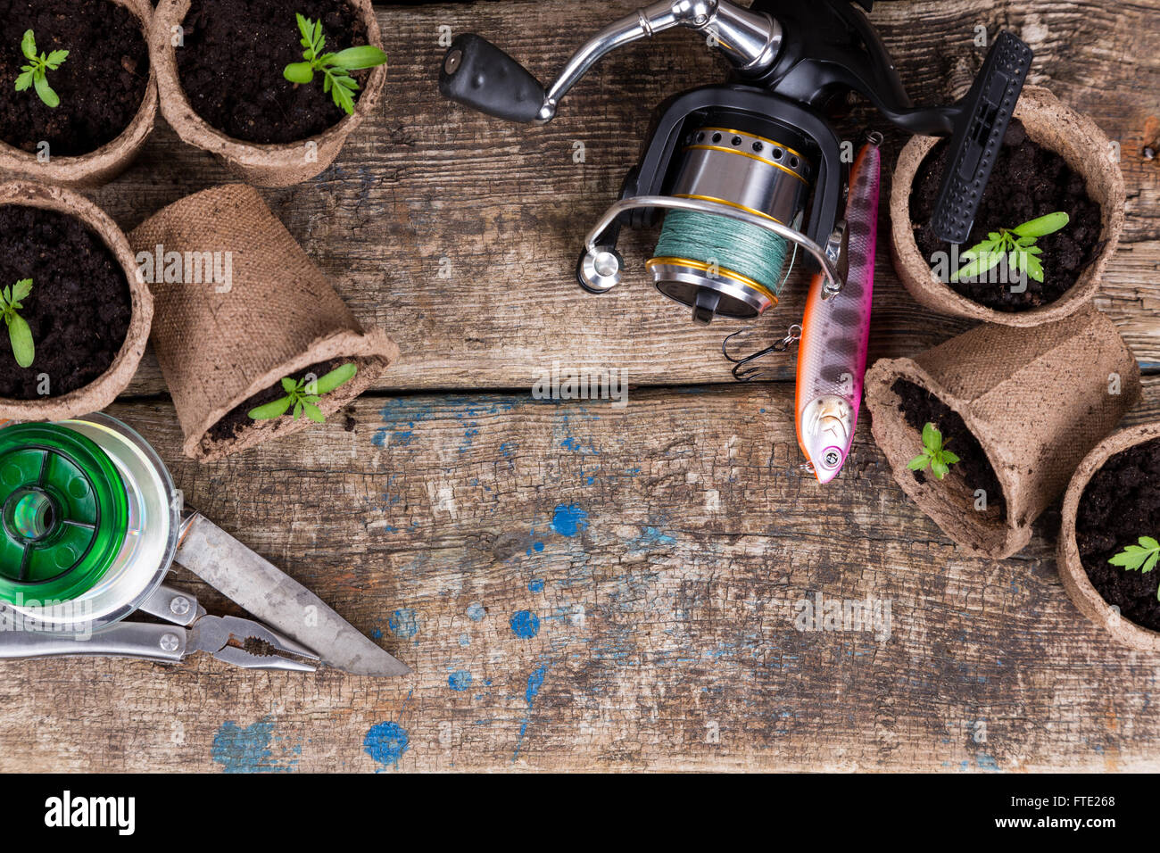 Matériels de pêche sur fond naturel avec planche en bois et de petits semis dans des pots de tourbe vert Banque D'Images