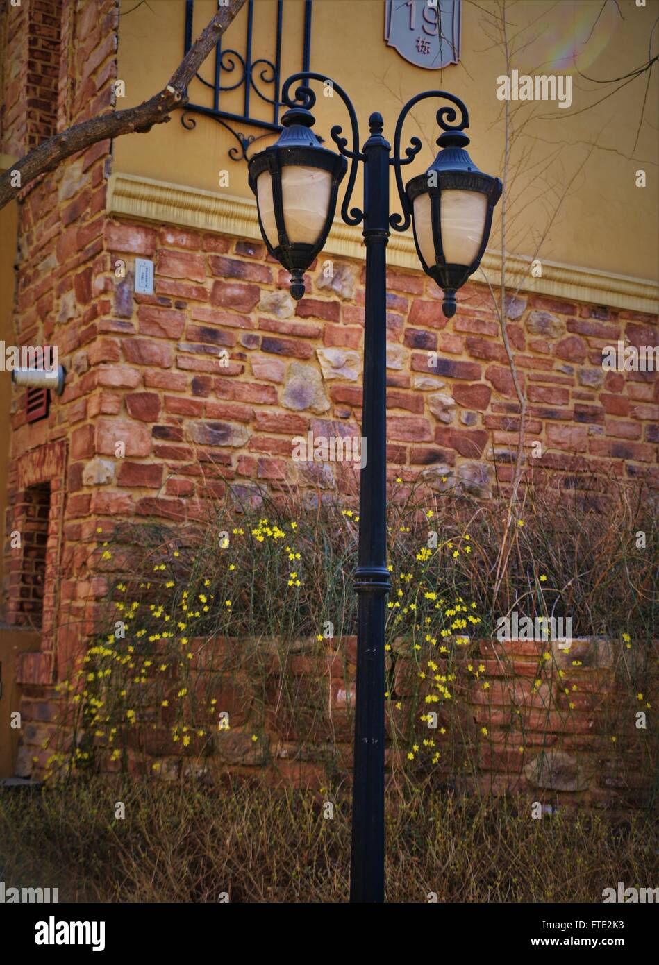 Belle lampe poster un mur de brique orange voler ornement cadre mur jaune et de fleurs Banque D'Images
