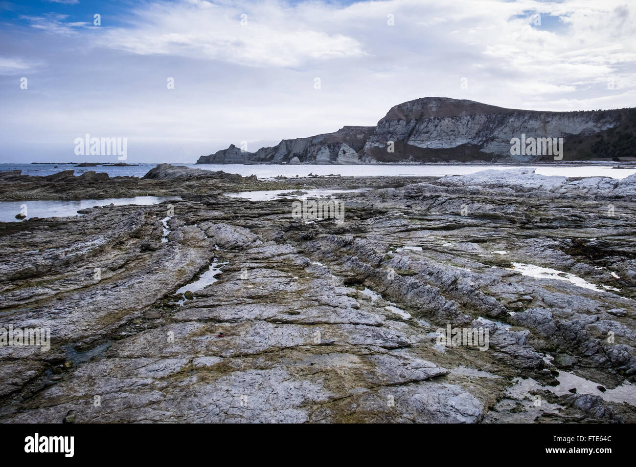 La plate-forme calcaire à Wave-Cut de Whaler Bay sur la péninsule de Kaikoura Banque D'Images