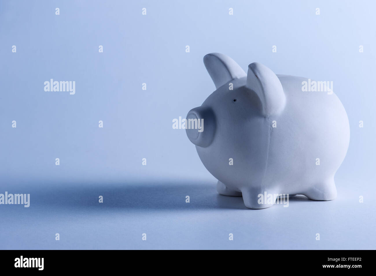 Porc blanc de l'argent fort libre Banque D'Images