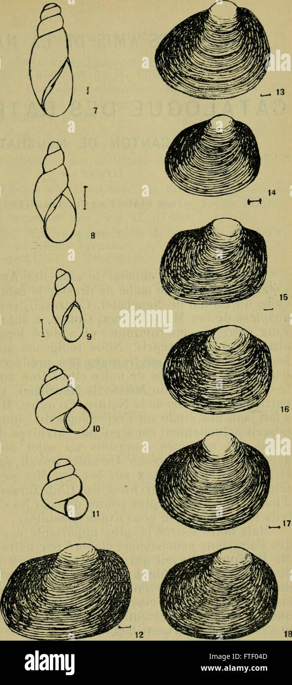 Bulletin de la société neuchloise des sciences naturelles (-1898) Banque D'Images