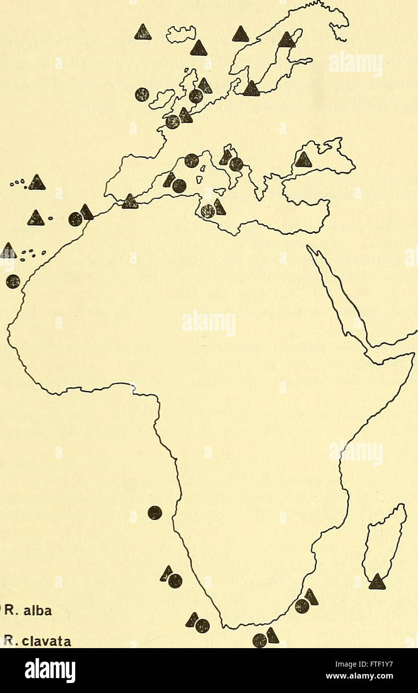 Annales du Musée de l'Afrique du Sud  = Annale van die Suid-Afrikaanse Museum (1966) Banque D'Images