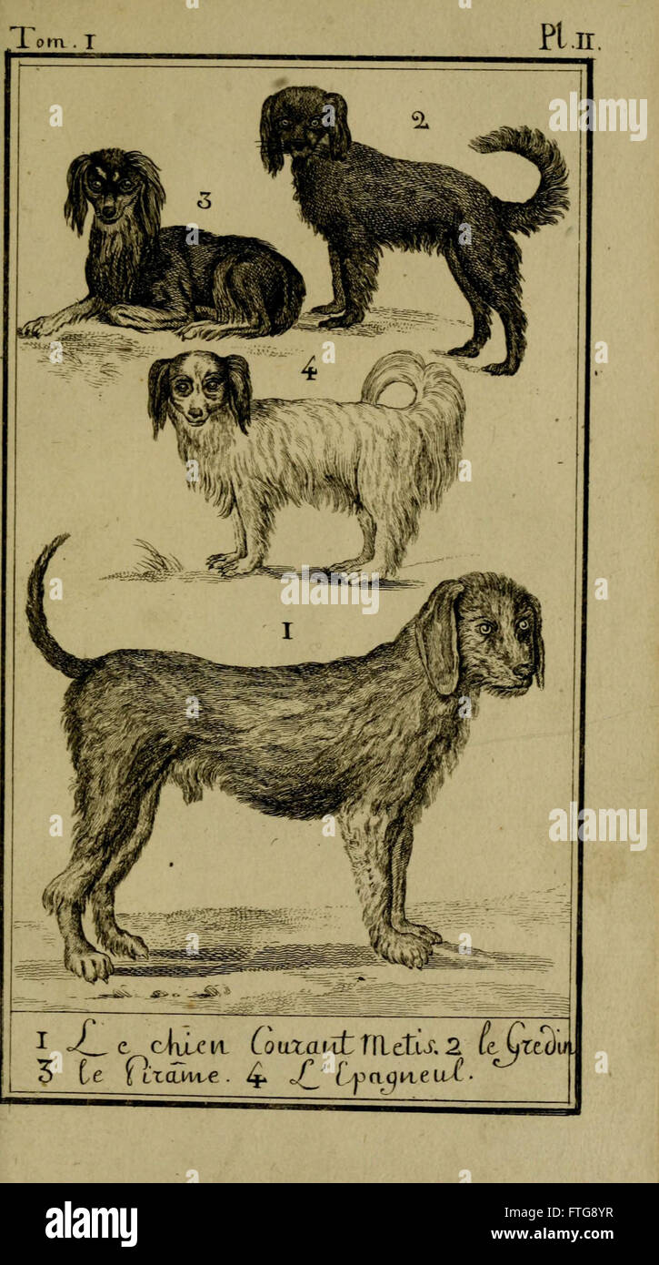 « Histoire naturelle » décrit l’histoire naturelle générale et particulière, en mettant l’accent sur la collection du Cabinet du Roi, couvrant la flore, la faune et les spécimens géologiques de la collection royale. Banque D'Images