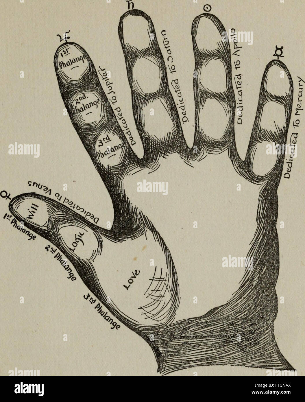 Publié en 1902, Perin's Science of Palmistry fournit un guide complet sur l'art de la palmisterie, détaillant l'interprétation des lignes, des montures et d'autres caractéristiques des mains. Il sert de traité complet sur ce sujet. Banque D'Images