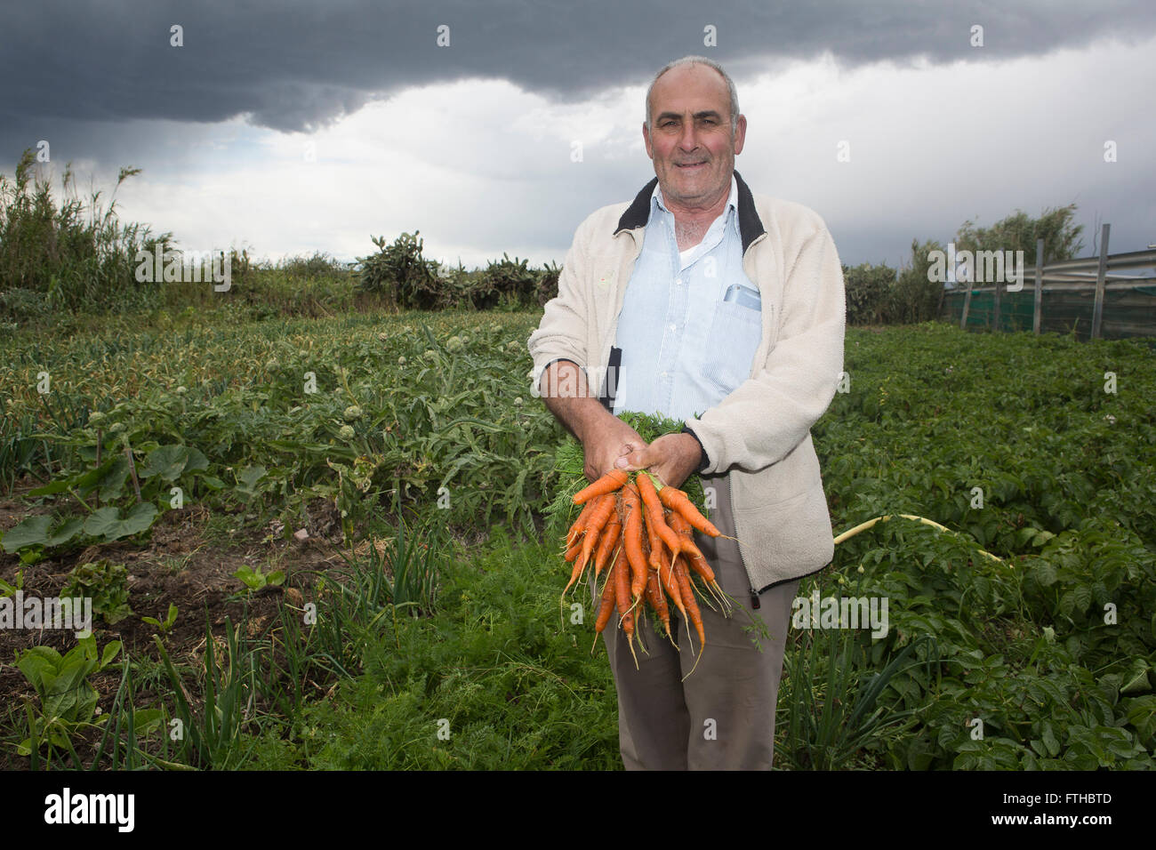 Farmer afficher les carottes dans le potager par Pako Mera Pic Banque D'Images